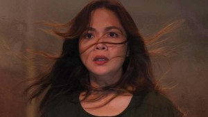 Bù Nhìn Vietsub